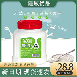 新疆天润盖瑞酸奶大桶装1.2kg装水果捞网红原味浓缩风味老酸奶