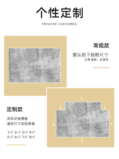 地毯门垫进门简约现代入户门地垫家用门口脚垫大门室内玄关轻奢风