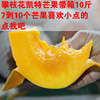 四川攀枝花新鲜现摘应季凯特芒果包邮含箱子10斤8到10个装包邮 四川攀枝花新鲜现摘应季凯特芒果包邮含箱子10斤8到10个装包邮