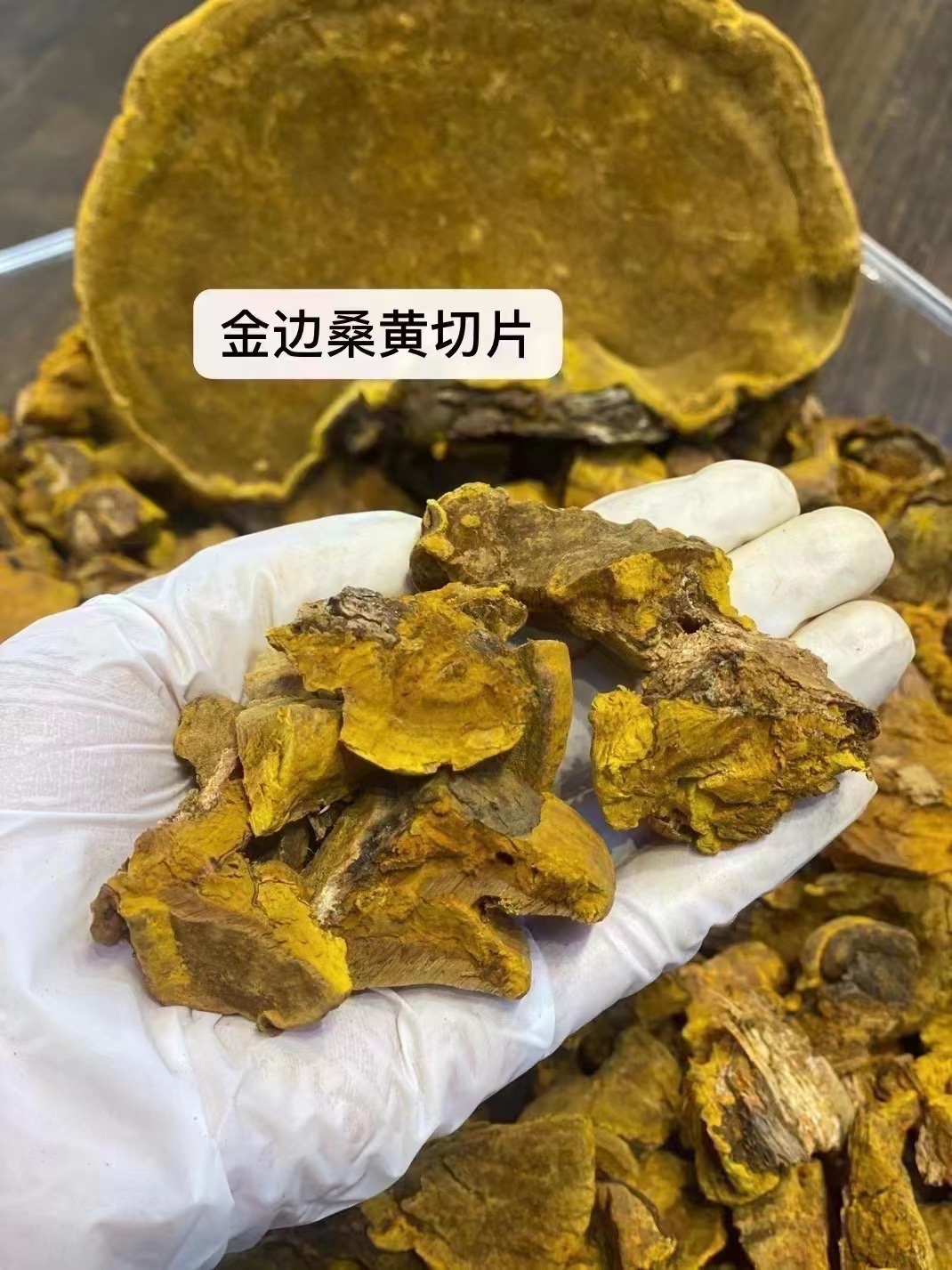 西藏正宗野生 桑黄 整朵特产 正品金边灵芝大桑树 保养茶包