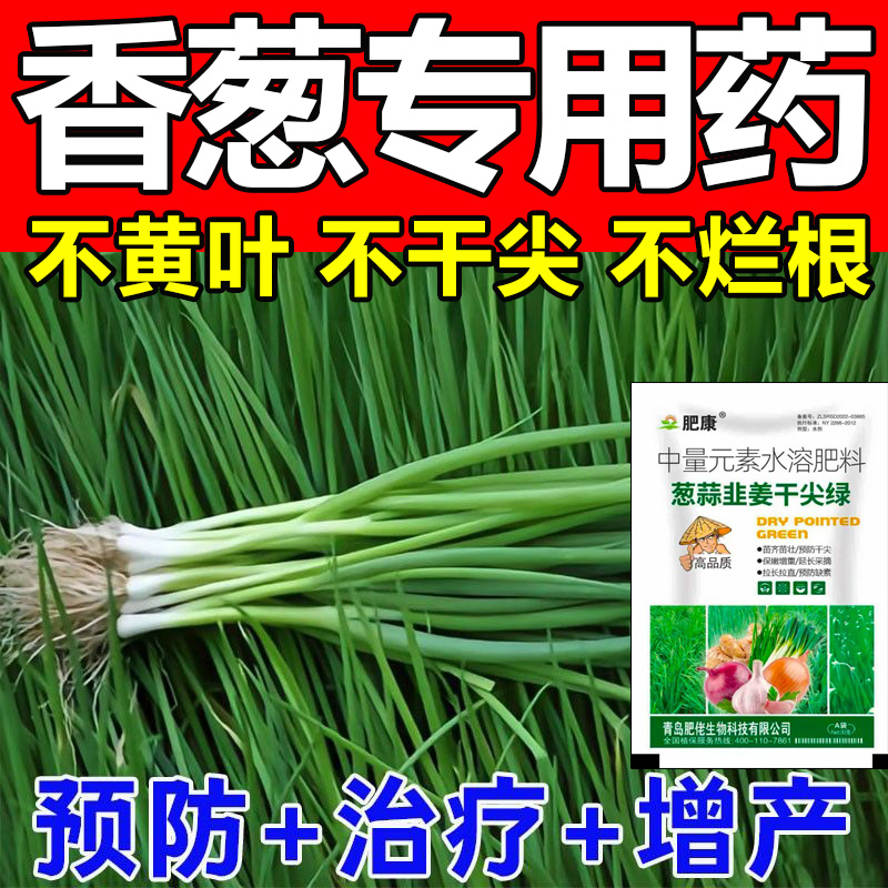 小香葱专用药葱姜蒜韭菜干尖灵大葱干尖黄叶锈病菌抗病增产叶面肥