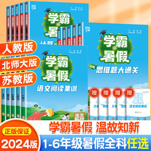 2024学霸的暑假衔接作业一二三四五六年级上下册课堂笔记语文阅读集训数学计算思维大通关人教版江苏教版同步训练习册暑假一本通