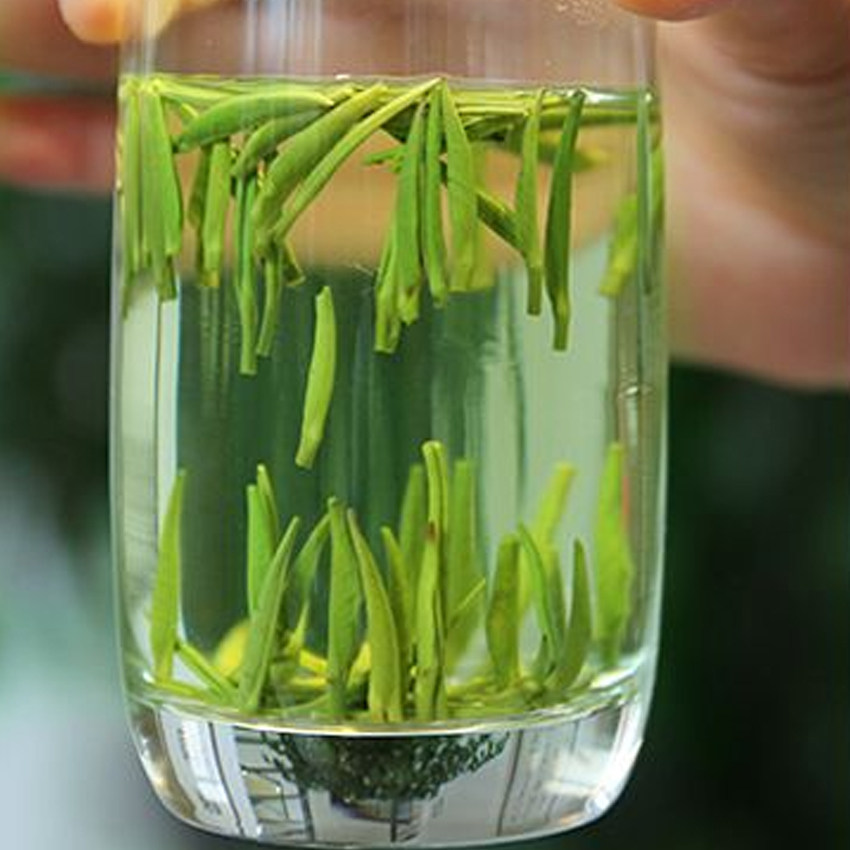 2023年武当道茶新茶明前毛尖剑箭茶贡芽十堰竹溪竹山茶散装100克