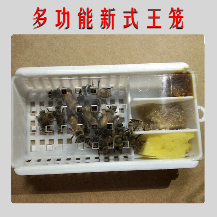 【林蜂木业】养蜂用品多功能蜂王防逃器 中蜂囚王邮寄蜂王笼|msdalam kategori Penternakan haiwan/bekalan pertanian, 蜂场养殖物资, 养蜂巢础 - dari Buy2taobao.com untuk memberikan perkhidmatan ejen Taobao profesional membeli