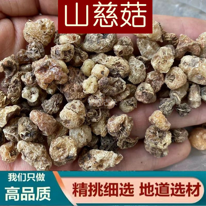 山慈菇中药材云南丽江高海拔野外生长毛慈姑冰球子茨菇中草药