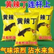 正品野钓专用黄辣丁钓鱼黄骨鱼昂刺牛尾巴饵料小药窝料诱食热敷包