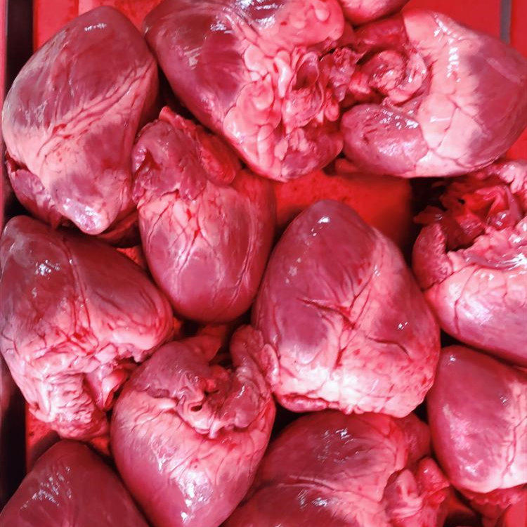 新鲜冷冻猪心 新鲜猪心 猪内脏生鲜冷冻饭店卤菜店食材20斤