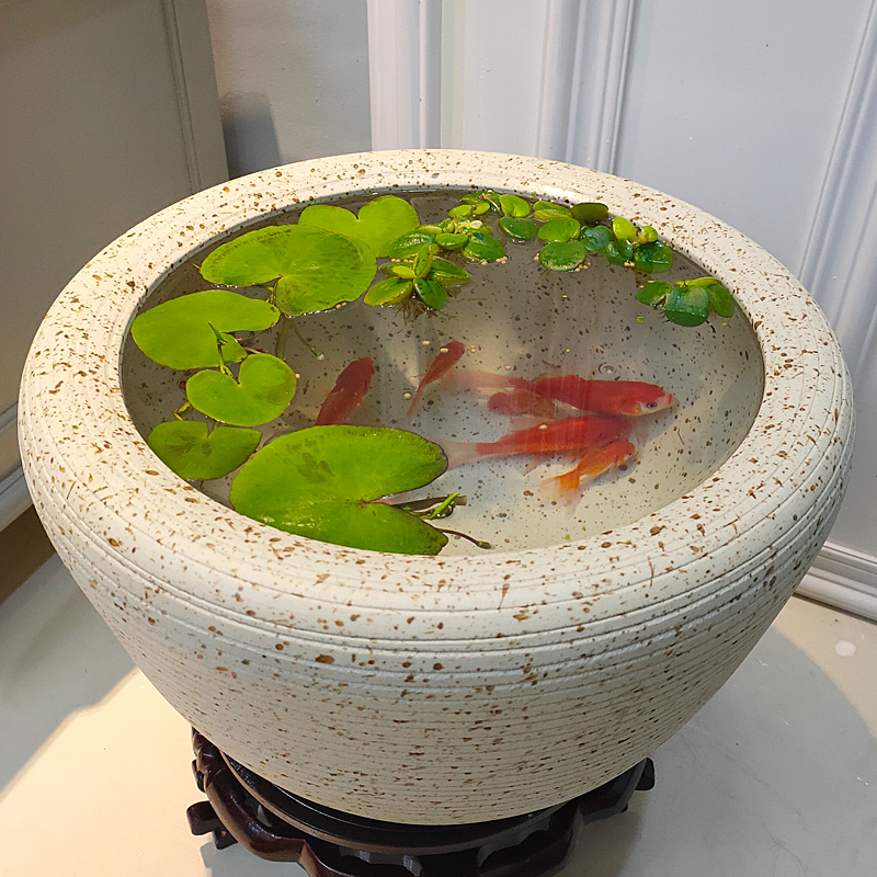 陶瓷养鱼缸水缸室外庭院老式复古乌龟缸荷花缸睡莲阳台造景金鱼缸