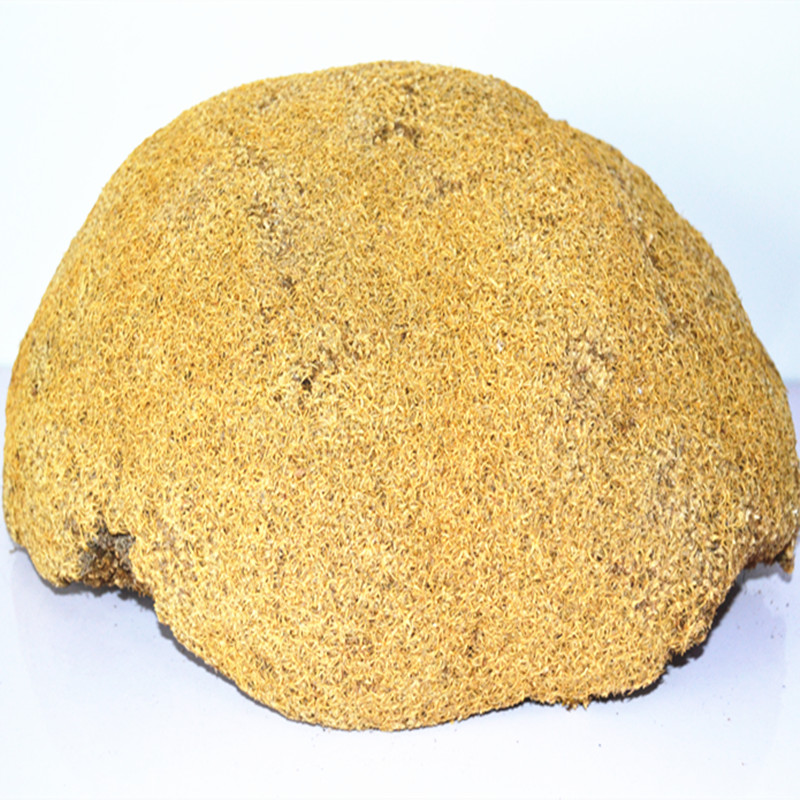 野生灵芝雪灵芝西藏灵芝雪灵芝灵芝切片灵芝粉灵芝茶500克39元