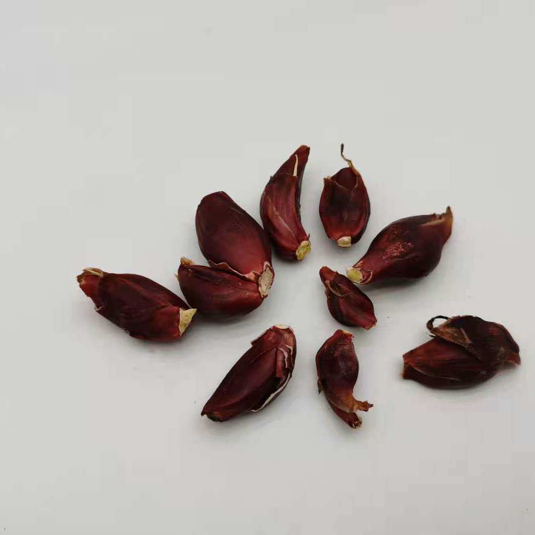 新鲜小红蒜根中药材红葱头百步还阳红血葱 非调料红