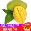 【北京当日达】新鲜越南青芒3斤青皮芒果水果同城新鲜大玉芒|ru 【北京当日达】新鲜越南青芒3斤青皮芒果水果同城新鲜大玉芒|ru