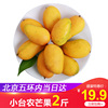 【北京当日达】小台农芒果小芒果新鲜水果2斤新鲜甜芒果台芒同城|ru 【北京当日达】小台农芒果小芒果新鲜水果2斤新鲜甜芒果台芒同城|ru