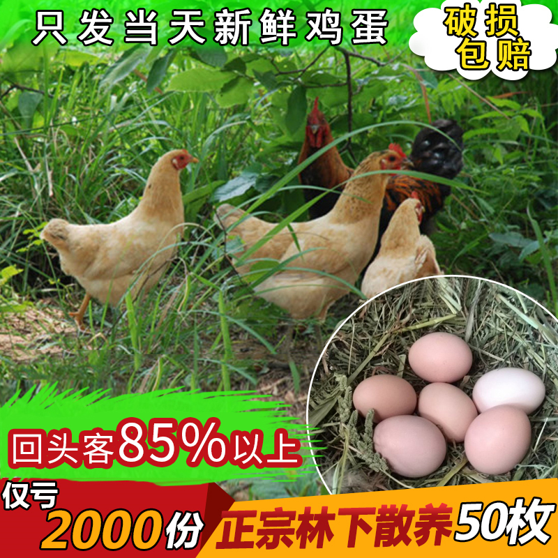 正宗农家土鸡蛋野外散养天然草鸡蛋特产新鲜柴鸡蛋笨鸡蛋50枚包邮在类目 水产肉类/新鲜蔬果/熟食, 蛋/蛋制品, 鲜活蛋类, 鸡蛋中 - 来自Buy2taobao.com提供专业的淘宝代购服务