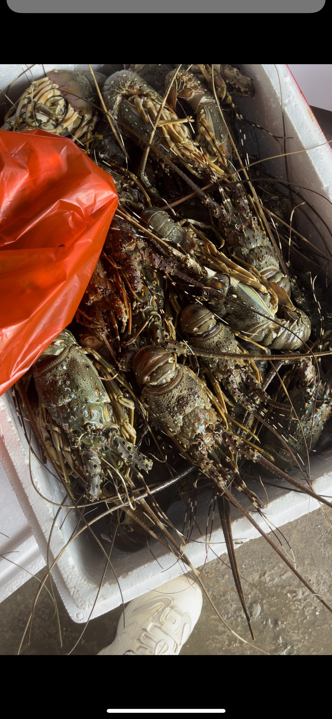 南宁海鲜水产提货券