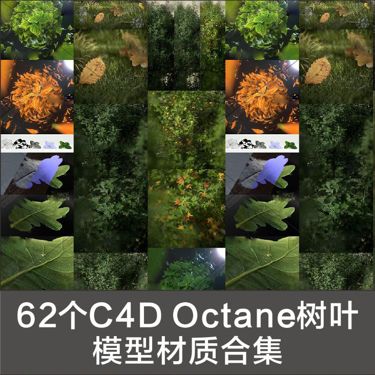 H574-62个C4D Octane树叶模型材质合集创意场景3D模型森林素材