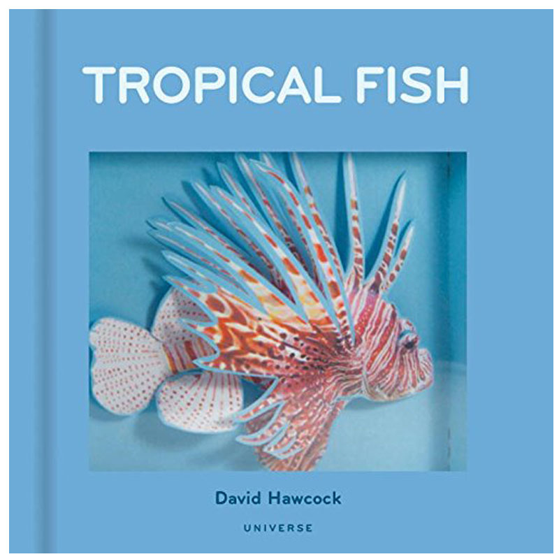 【pop-up】tropical fish,【立体书】热带鱼适合3-6岁