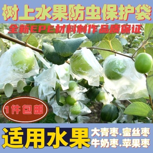 大青枣专用防虫套袋 牛奶枣套袋 青枣袋 蜜丝枣防虫袋 大青枣套袋