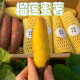 【礼盒装】榴莲蜜薯金瑶软糯蜜甜高端品种火山红薯5斤农产品番