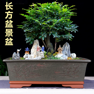 宜兴紫砂花盆精品手工特大长方形树桩榕树文竹松柏室内绿植盆景盆