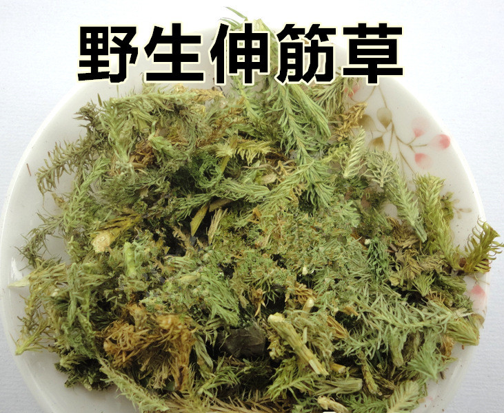 中药材伸筋草 石松 大伸筋 泡药酒熬汤 500克 另有舒筋草 菊之香药
