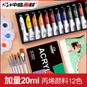 中盛画材丙烯颜料12色套装纺织颜料墙绘颜料丙烯画diy石头画手绘颜料彩绘染料画画流体画黑色丙烯衣服画
