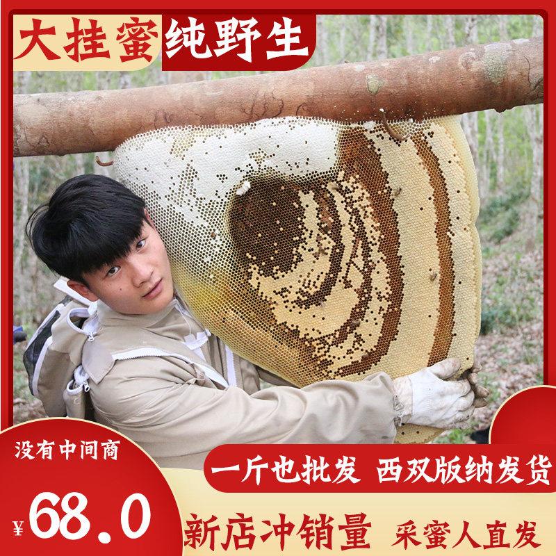 大挂蜜野生蜂蜜大排蜂云南西双版纳蜂蜜1斤纯正土蜂蜜马猖蜂