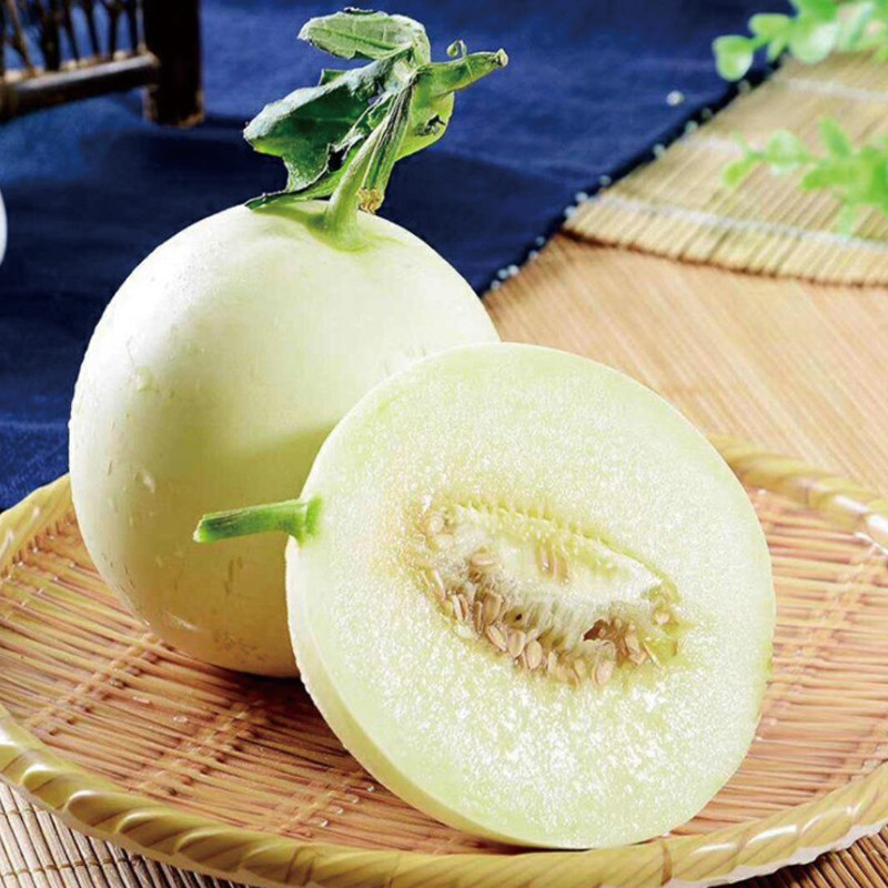 陕西阎良甜瓜新鲜小籽香瓜白嚷蜜瓜头茬甜瓜时令水果产地直发包邮