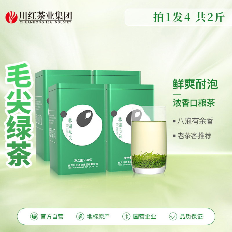 毛尖茶叶绿茶明前春茶茶叶官方旗舰店