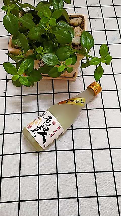 千岛美人纯米清酒180ml小瓶日式酿造米酒低度洋酒日本烧新手礼