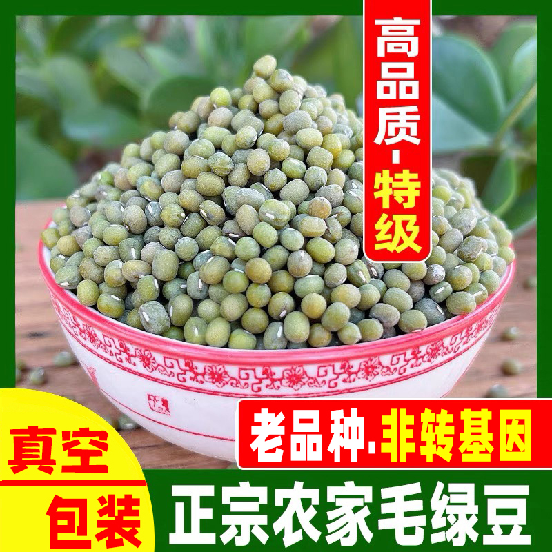 山东毛绿豆沂蒙山农家自种老品种真空新鲜绿豆发芽专用糯起沙糯