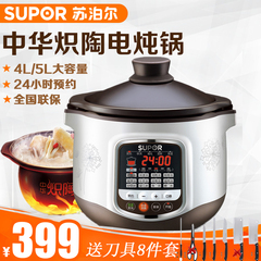 SUPOR/苏泊尔 DG50YC8-70中华炽陶电炖锅盅紫砂炖肉煲汤煮粥养生