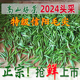 信阳毛尖2024新茶明前茶叶高山绿茶特级嫩芽自产自销散装春茶