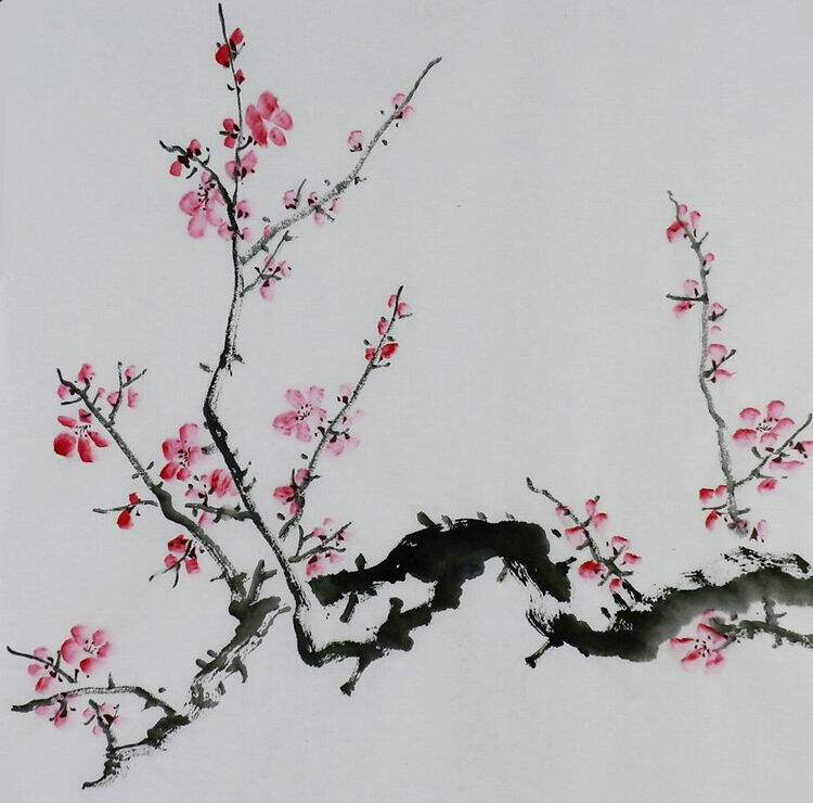 手绘字画书画客厅装饰画热销i072491三尺斗方无款国画花鸟画梅花