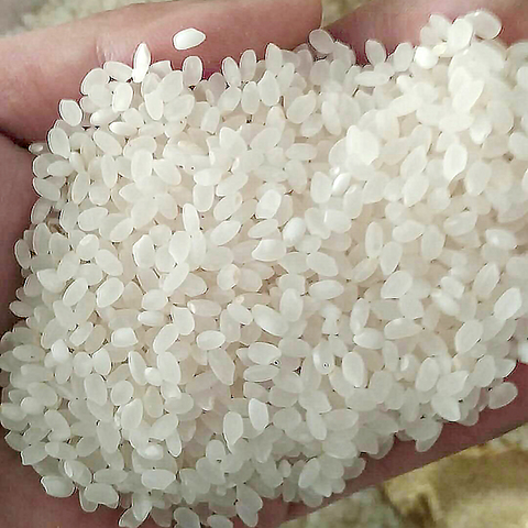 东北大米清原农家小粒香米10斤5kg新珍珠米散装不抛光