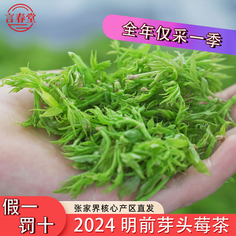 2024明前茶春芽莓茶张家界特级野