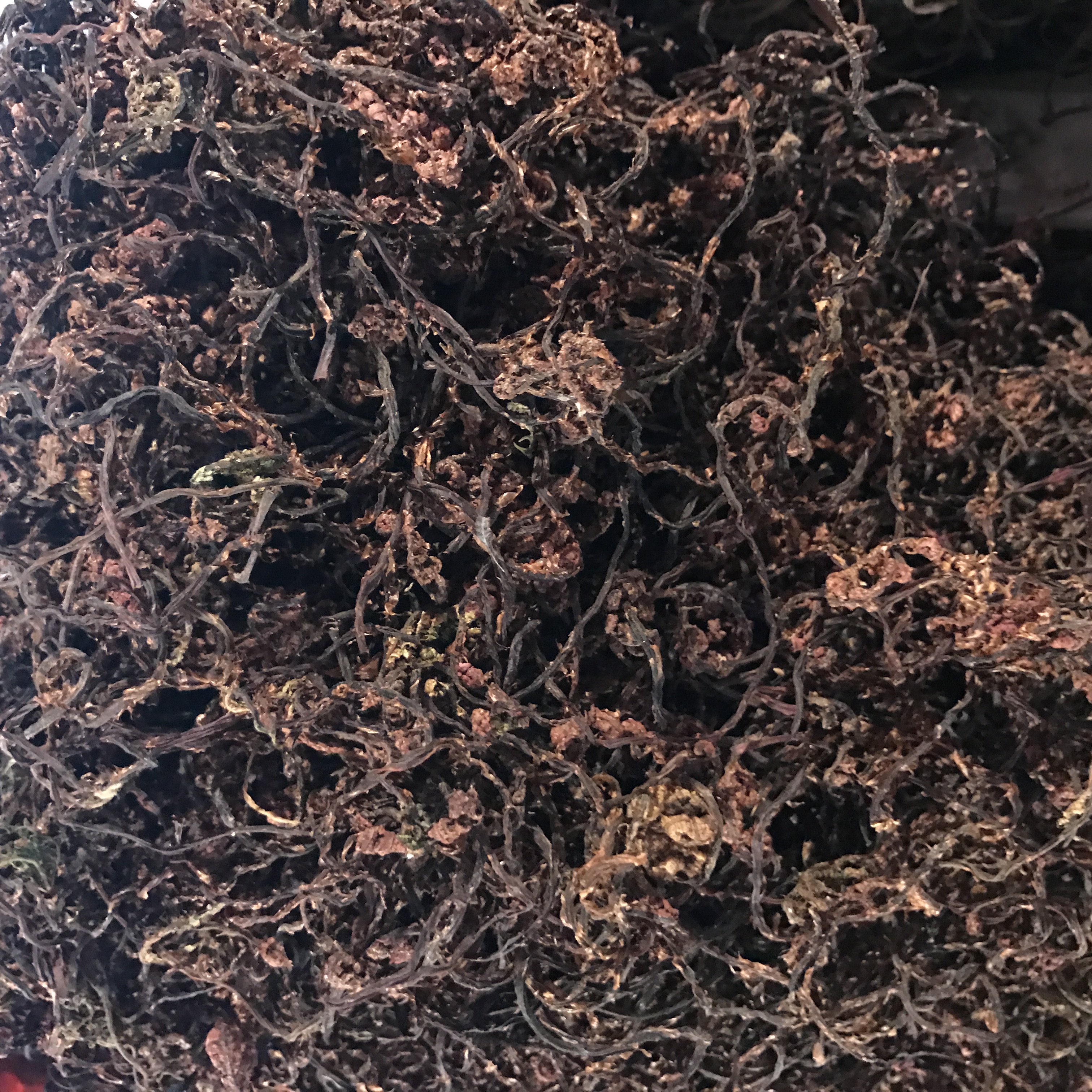 东北特产 野生猴腿菜 猴腿干 脱水蔬菜 干货 一份250g特价包邮