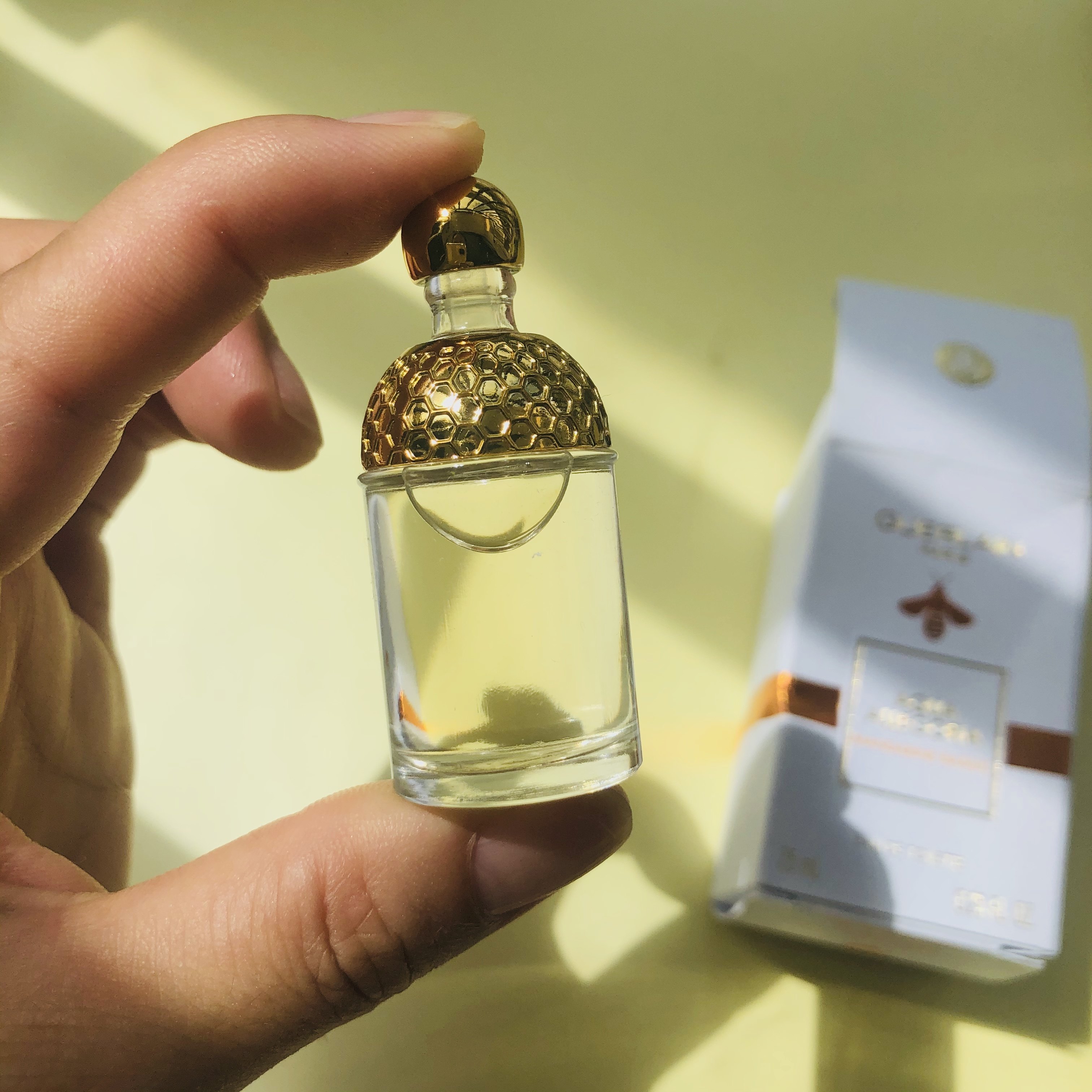 美代现货guerlain娇兰兰花草水淡香水柑橘罗勒75mlq香水