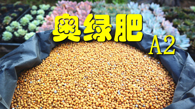 奥绿肥a2 28包邮发货多肉植物球根植物专用控释肥 2-4克每升土