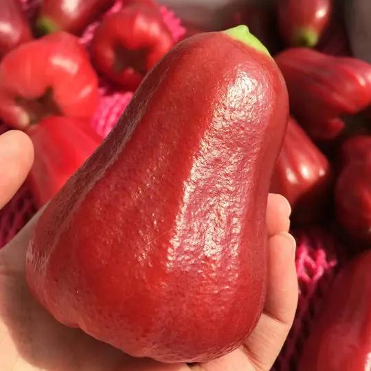 小果农泰国黑金刚莲雾果5斤包邮整箱当季孕妇新鲜水果现摘海南特