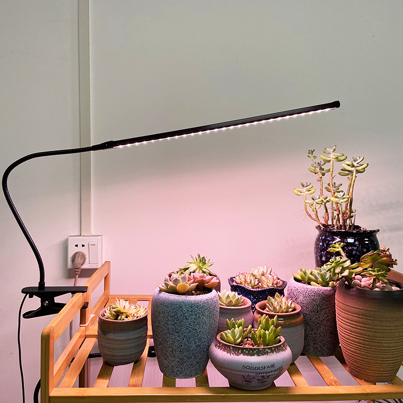 喜浪LED全光谱植物灯生长补光多肉上色防徒长仿太阳光智能盆栽灯