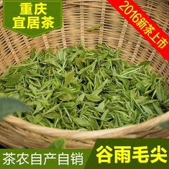 2016年重庆谷雨宜居毛尖250g 新茶特级嫩芽毛尖绿茶自产自销