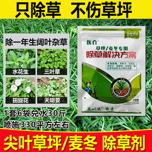 农药麦冬专用除草剂尖叶草坪专用除草剂黑麦草路政绿化草皮除杂草