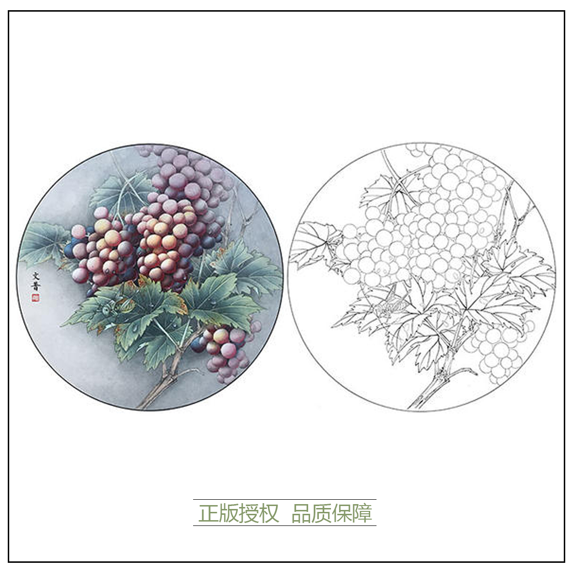 工笔画白描底稿於文葡萄实物白纸勾线打印稿尺寸国画