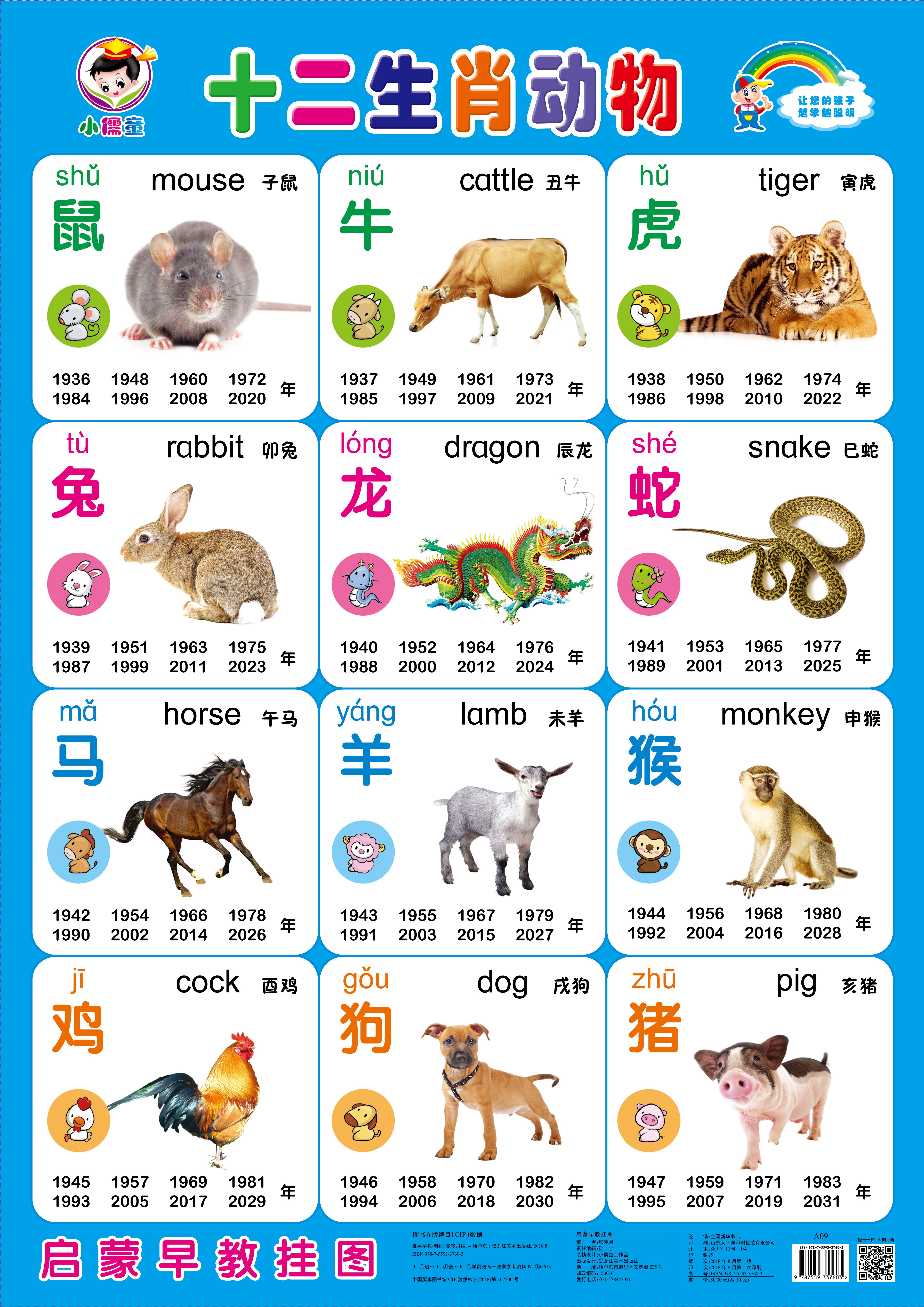 宝宝挂图幼儿儿童早教1-3岁墙贴认知婴儿启蒙玩具挂图