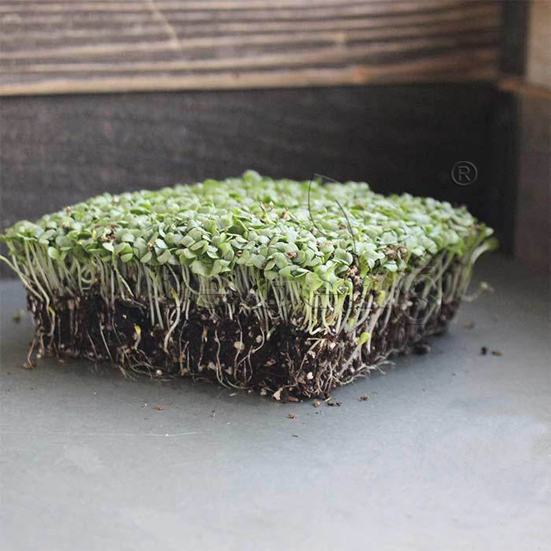 影响亨瑞克费克塞斯著心理学说服影响力个人品牌自我提