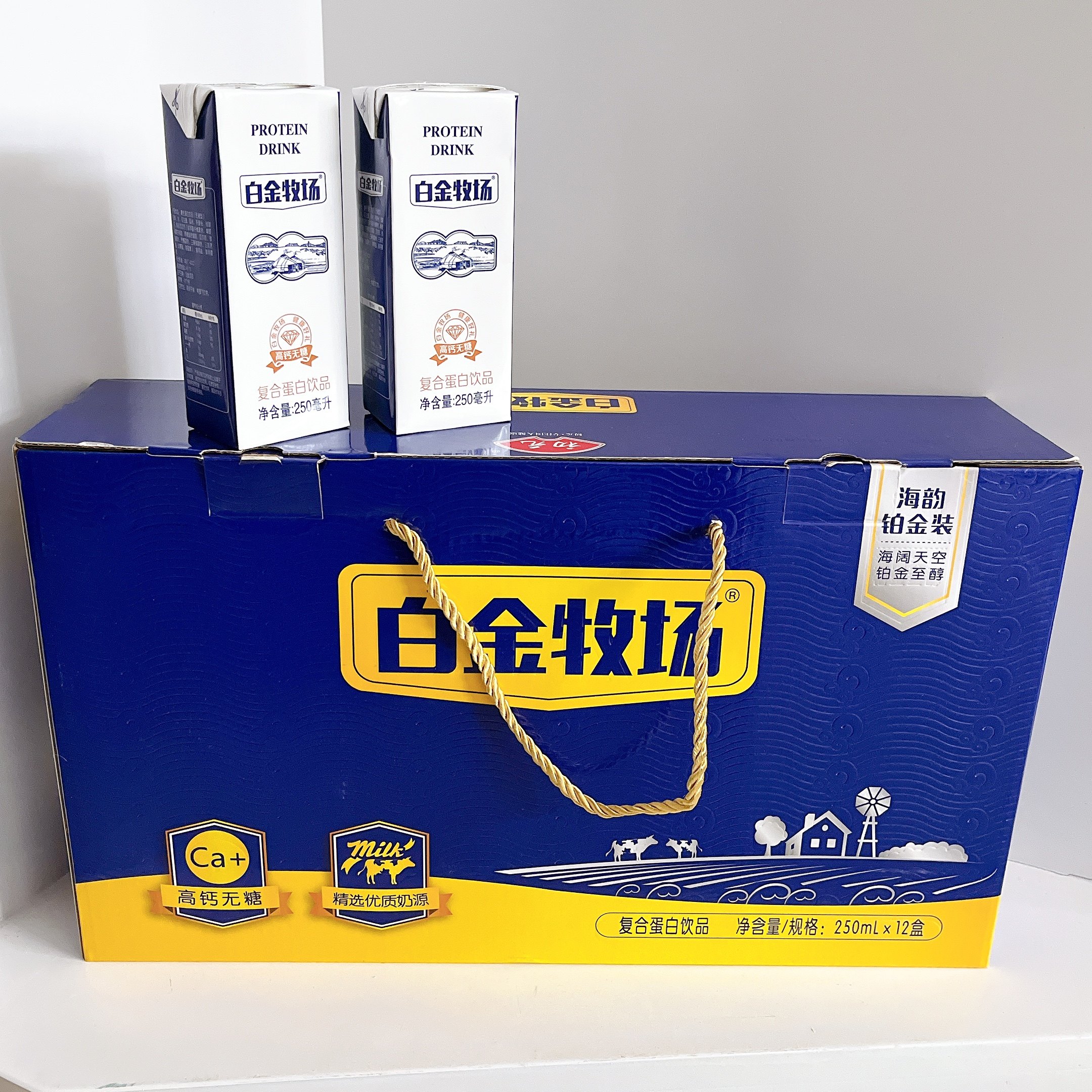 初元复合蛋白饮品