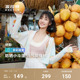【明星同款】波司登防紫外线UPF100斗篷冰丝凉感透气短款防晒衣女