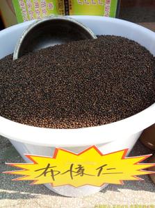 5斤包邮广东省梅州野生布惊仁布惊籽黄荆子枕头布惊子黄金子