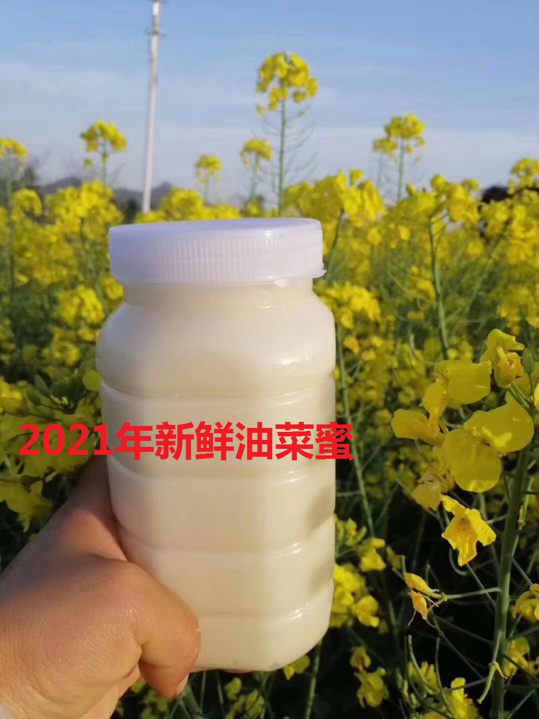 推荐2021年农家自产自销新鲜油菜花蜜菜花蜜成熟蜜结晶蜜10斤装