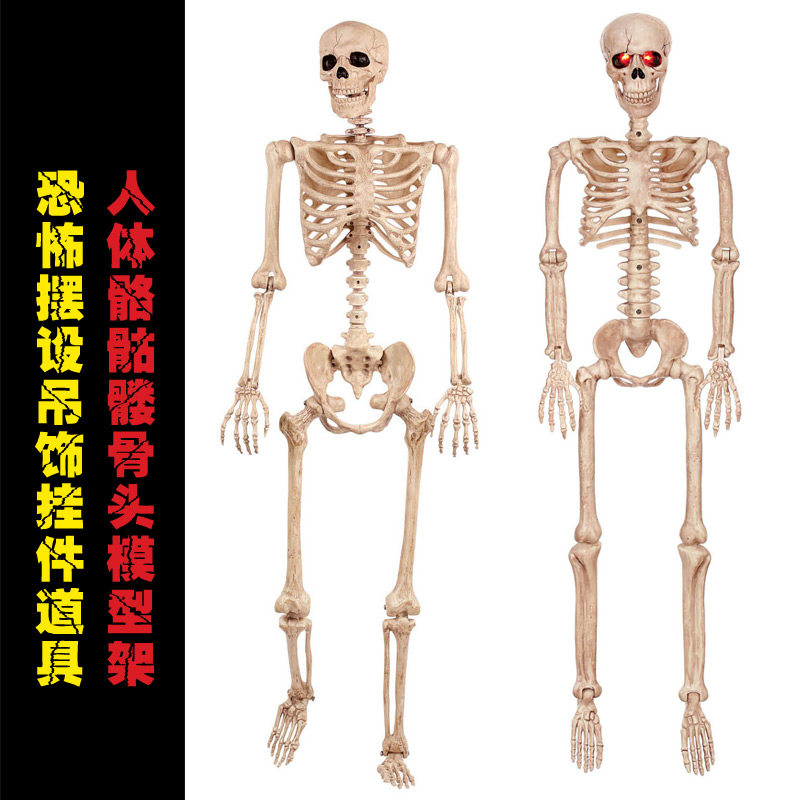 hauntedhollow旗舰店的优惠券大全